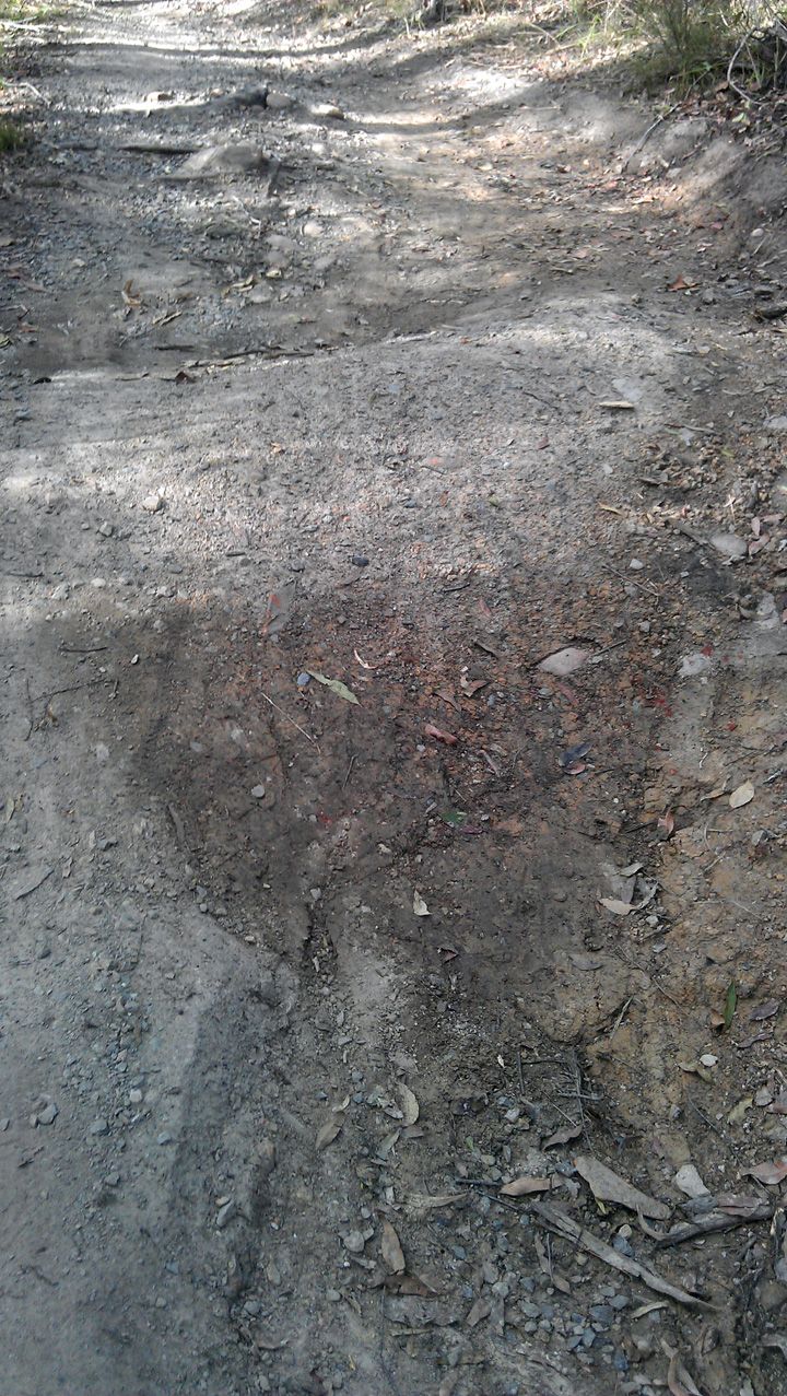Trail Fix 1